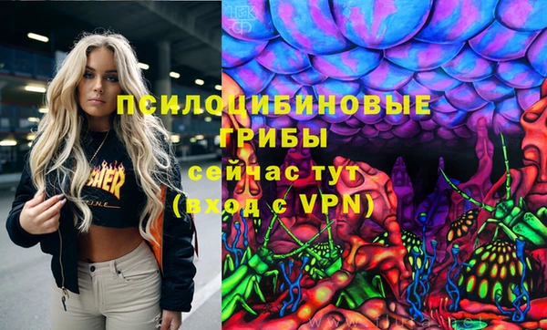 гашик Арсеньев