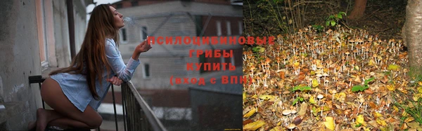 гашик Арсеньев